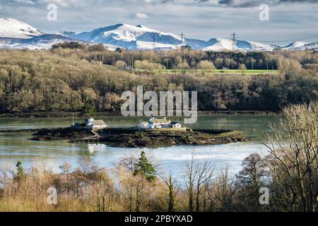 Malerischer Blick auf Ynys Gored Goch (Rotes Weirisland) in der Menai-Straße mit Schnee auf Snowdon in den Snowdonia Mountains im Winter. Menai Bridge Anglesey Wales UK Stockfoto