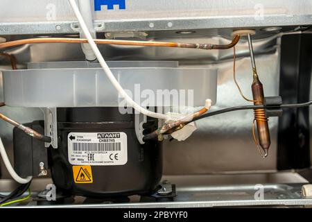 Sosnovy Bor, RUSSLAND - 12. JANUAR 2023: Household Appliances in DNS Stockfoto