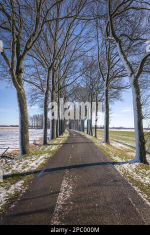 Verschneite Bäume und eine winterliche Landschaft entlang der Straße in Richtung Coevorden, Spaziergang durch den berühmten niederländischen Wanderweg „Pieterpad“ Stockfoto