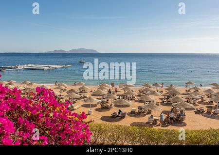 Sommerhintergrund mit tropischem Strand. Urlaubsurlaub und Reise-Abenteuer-Konzept. Stockfoto