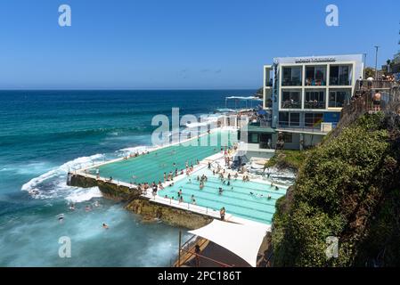 Gäste genießen den Felsenpool im Bondi Eisbergs Swimming Club in Sydney, Australien Stockfoto