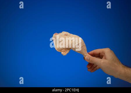 Ein ganzes gefrorenes Hühnerbein, gehalten von einer männlichen Hand. Nahaufnahme des Studios, isoliert auf blauem Hintergrund. Stockfoto