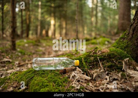 Eine leere transparente Wasserflasche auf dem Boden in einem Wald. Müllverwertungskonzept, Tiefwinkel-Aufnahmen am Tag, keine Menschen. Stockfoto