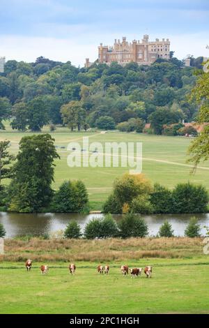 Belvoir Castle ist ein künstliches historisches Schloss und Herrensitz in Leicestershire, England, 6 Meilen (10 km) westlich von Grantham und 10 Meilen (16 km) nordöstlich von Melton Mowbray. Die Burg wurde erstmals unmittelbar nach der normannischen Eroberung von 1066 gebaut und wurde seitdem mindestens dreimal wieder aufgebaut, das überlebende Bauwerk, eine unter die Kategorie I fallende Scheinburg aus dem frühen 19. Jahrhundert. Es ist der Sitz von David Manners, 11. Duke of Rutland (die winzige Grafschaft Rutland liegt 16 Meilen (26 km) südlich von Belvoir Castle), dessen direkter männlicher Vorfahre es 1508 geerbt hat. Stockfoto