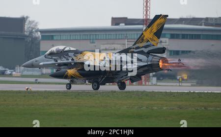 Royal Air Force Waddington, Waddington, Lincolnshire, England. 6. März 2023 Belgische Air Component General Dynamics F-16 A Fighting Falcon FA-136 31 „X-Tiger“, die speziell bemalte F-16, die 70 Jahre belgischer Air Components 31. Tigerschwadron (10. taktischer Flügel) feiert. Startet während der Übung Kobra Krieger 2023, Ex-Cobra Krieger 23-1, in Royal Air Force Waddington, Royal Air Force Waddington (Bild: ©Cody Froggatt Stockfoto