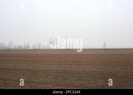 Gepflügtes Feld mit Bäumen in der Ferne an einem nebeligen Tag im Winter Stockfoto