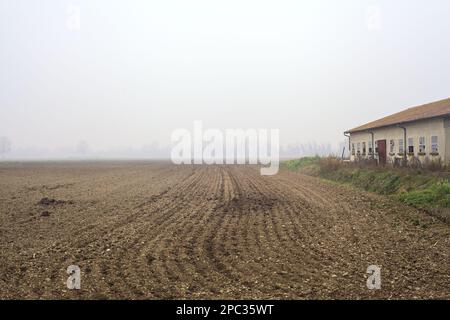 Ein gepflügtes Feld und eine Scheune daneben an einem nebeligen Tag in der italienischen Landschaft Stockfoto