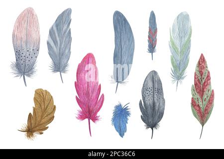 Farbenfrohe Vogelfedern setzen Wasserfarben Illustration Bo-Stil dekorative Flügel für kreatives rustikales Design, Hochzeitseinladung, Heimtextilien, Auto Stockfoto