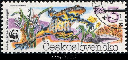 Ein in der Tschechoslowakei gedruckter Stempel zeigt eine Gelbbauchkröte Bombina variegata, Serie "WWF Amphibia", 1989 Stockfoto