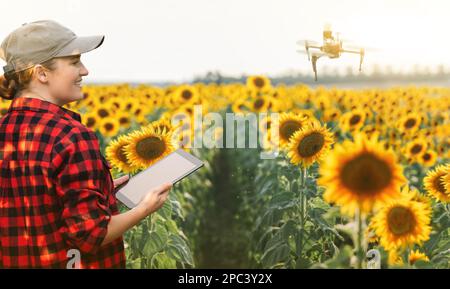 Der Landwirt steuert das Drohnenspray mit einem Tablet. Intelligente Landwirtschaft und Präzisionslandwirtschaft Stockfoto