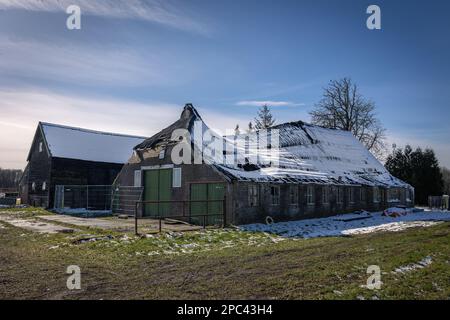 Altes verlassenes Bauernhaus im Winter mit einem komplett zusammengefallenen und verschneiten Dach, Provinz Drenthe, Niederlande Stockfoto