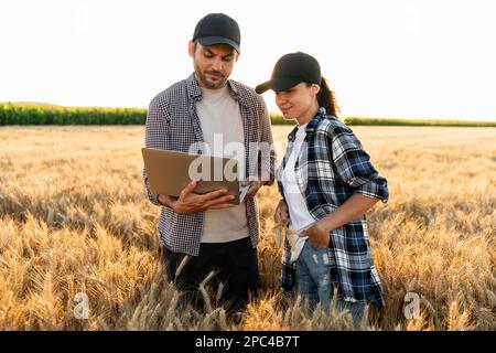 Ein paar Landwirte untersuchen das Getreidefeld und senden Daten vom Laptop in die Cloud. Intelligente Landwirtschaft und digitale Landwirtschaft. Stockfoto