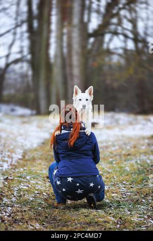 Weiße Schweizer Hirten liegen, posieren, springen und lächeln beim Gehen Stockfoto