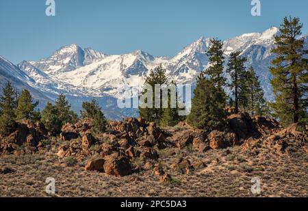 Mono-Inyo National Forest in Kalifornien Stockfoto