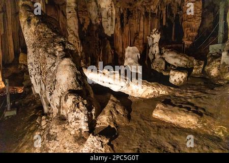 Krokodil-Aussehen-ähnliche Formation in den Höhlen von Tham Nam Lod in der Provinz Mae Hong Son Thailand, von Stalagmiten und Stalaktiten in seiner großen Kammer Stockfoto