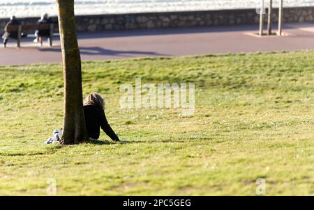 Seniorin sitzt auf dem Rasen und lehnt sich an einem sonnigen Tag an einen Baum Stockfoto