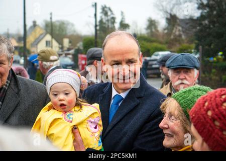 Tánaiste Micheál Martin besucht die hundertjährige Gedenkfeier in Taghmon, Irland. Stockfoto