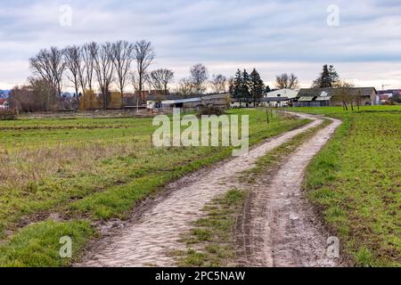 Ländliche Idylle mit unbefestigten Straßen, Wiesen und Bauernhäusern im Winter, Deutschland Stockfoto