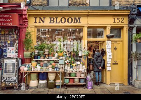 In Bloom, Columbia Street - Ein traditioneller Blumenladen in Bethnal Green. Der Columbia Road Flower Market befindet sich in der Nähe der Hackney Road Stockfoto