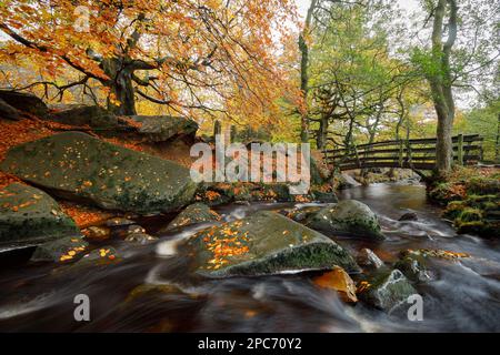 Burbage Brook in Padley Gorge Stockfoto