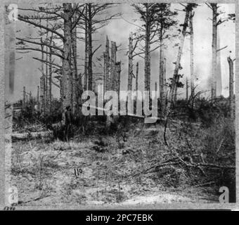 Schauplatz der erfolglosen Anklage gegen die Verstrickung der Konföderierten an der Kreuzung von alten und neuen Gerichtsgebäuden. Nr. 5040, Nr. '110.', Titel von Artikel, montiert mit 5 anderen Fotos mit allgemeiner Überschrift: Schlachtfeld der 'Wildnis', Geschenk; Oberst Godwin Ordway; 1948. Vereinigte Staaten, Geschichte, Bürgerkrieg, 1861-1865, Vereinigte Staaten, Virginia. Stockfoto