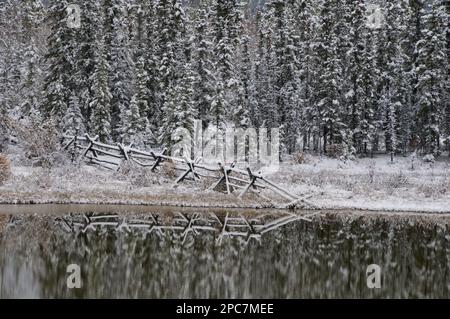 Schneebedeckte Zäune und Fichten spiegeln sich im Teich am Alaska Highway in der Nähe von Whitehorse, Yukon, Kanada Stockfoto