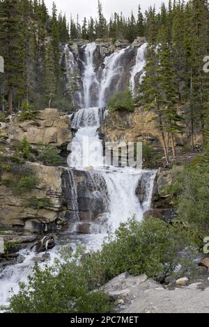 Wasserfall und Fluss, Tangle Creek Falls, Jasper N. P. Rocky Mountains, Alberta, Kanada Stockfoto