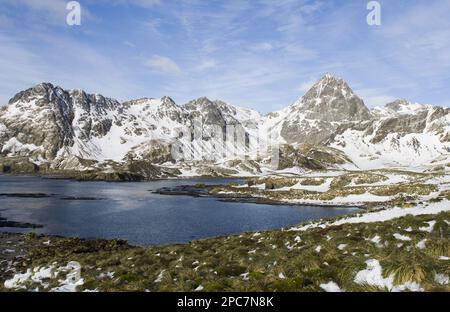 Blick auf die Küste mit schneebedeckten Bergen, Cooper Bay, South Georgia Stockfoto