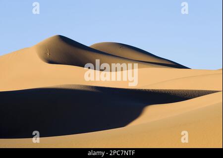 Blick auf Sanddünen im Wüstenlebensraum, Khongoryn Els Sanddünen, Süd-Gobi-Wüste, Mongolei Stockfoto