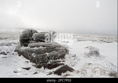 Gritstone Felsen auf Moorland im Schnee, Wain Stones, Bleaklow, Peak District, Derbyshire, England, Winter Stockfoto