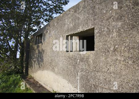 Nahaufnahme des 2. Weltkriegs FW3 Typ 23 Pillbox, in der Abendsonne, Stowupland, Suffolk, England, Vereinigtes Königreich Stockfoto