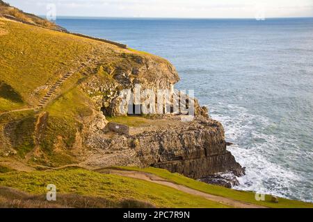 Blick auf die Küste mit künstlichen Höhlen in den Klippen, den ehemaligen Kalksteinbruch von Purbeck, die Tilly Wim Caves, Durlston, die Isle of Purbeck, Dorset Stockfoto