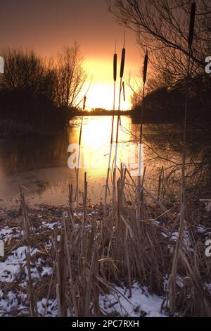 Sonnenuntergang über dem Stausee mit Schilf an der schneebedeckten Uferseite, Alton Water, Suffolk, England, Großbritannien Stockfoto