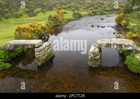Zerstörte Klapperbrücke über den Fluss, East Dart River, Dartmoor N. P. Devon, England, Großbritannien Stockfoto