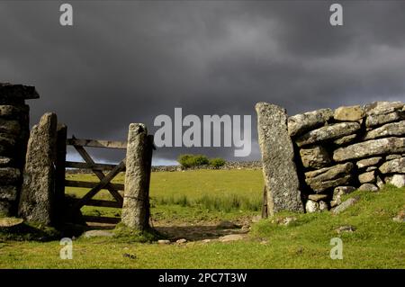 Altes Tor in einer trockenen Steinmauer, mit sich nähernden Sturmwolken, Dartmoor N. P. Devon, England, Großbritannien Stockfoto