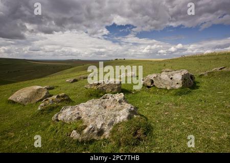 Verwitterte Sandsteinfelsen auf steilen Südkreide, Sarsen Stones, Pewsey Downs National Nature Reserve, Wiltshire, England, United Stockfoto