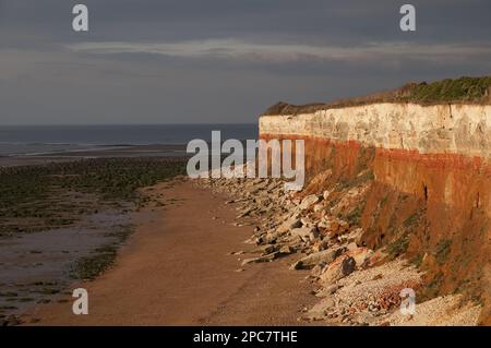 Blick auf erodierte Kreide und Carrstone Sea Cliffs, Hunstanton, Norfolk, England, Großbritannien Stockfoto