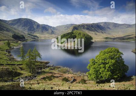 Blick auf das Hochland Reservoir, Haweswater Reservoir, Mardale Valley, Lake District, Cumbria, England, Vereinigtes Königreich Stockfoto