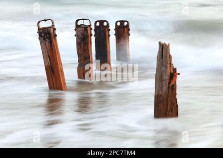 Alte Holzbauern mit Flut in der Dämmerung, Crow Point, North Devon, England, Marsh Stockfoto