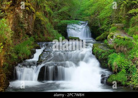 Wasserfall am Zusammenfluss von East Lyn River und Hoar Oak Water, Watersmeet Falls, Lynmouth, North Devon, England, Großbritannien, Europa Stockfoto