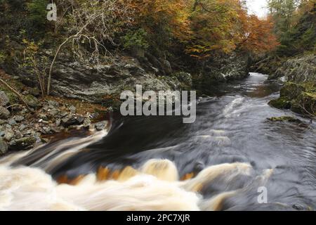 Fluss fließt durch bewaldete Schlucht Habitat, Felsen der Einsamkeit, Fluss North Esk, nahe Edzell, Angus, Schottland, Großbritannien, Europa Stockfoto