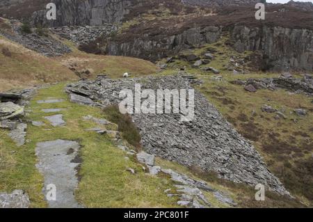 Alte Ebene in verlassener Schiefermine, Cwm Pennant, Snowdonia, Gwynedd, North Wales, Großbritannien, Europa Stockfoto