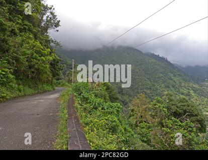 Blick auf die Straße durch den erstklassigen Wald, mit den Regenwolken, die sich den Berg hinunter bewegen, Blue Mountains N. P. Blue Mountains, Jamaika Stockfoto