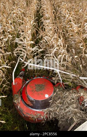 Mais (Zea mays), selbstfahrender Feldhäcksler, Nahaufnahme des Schneidkopfs, Ernte von Silage, England, Großbritannien Stockfoto