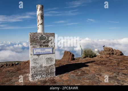 Raben (Corvus corax) Nordic Raven, Nordic Optical Telescope (NOT), Roque de los Muchachos, Tijarafe, La Palma, Spanien, Europa Stockfoto