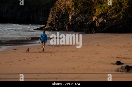 Nicht erkannte Person, die bei Sonnenuntergang mit einem Hund am Sandstrand spaziert. Gesunder Lebensstil. Sport im Freien Stockfoto