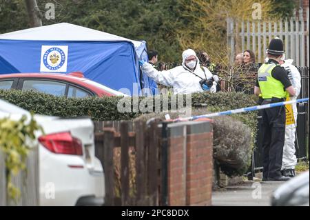 Cadbury Drive, Birmingham, 13. März 2023 - die Polizei von West Midlands hat eine Morduntersuchung eingeleitet, nachdem zwei Männer heute Nachmittag auf einem Grundstück in Birmingham angegriffen wurden. Ein blauer forensischer trent war vor dem Anwesen und zwei forensische Offiziere machten Fotos. Ein Mann erlitt Stichwunden und starb, trotz der besten Bemühungen der Ambulanzkollegen, am Tatort in Cadbury Drive kurz nach 13 Uhr. Ein anderer Mann erlitt auch Stichwunden und wurde in einem kritischen Zustand ins Krankenhaus gebracht. Quelle: Stop Press Media/Alamy Live News Stockfoto