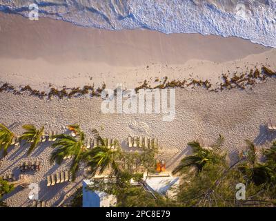 Palmen am Sandstrand des Ozeans. Kleine Häuser sind zwischen den Palmen zu sehen. Holzliegen am Strand. Badeort, Erholung, Rela Stockfoto