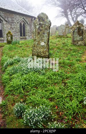 Der Friedhof in St. Dennis Parish Church, Cornwall, Großbritannien - John Gollop Stockfoto