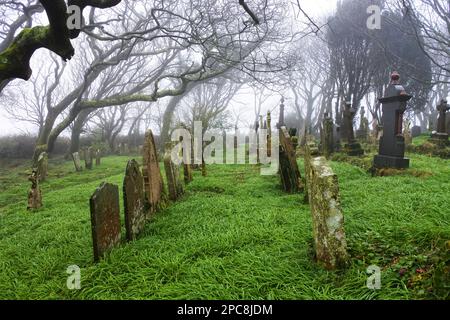 Der Friedhof in St. Dennis Parish Church, Cornwall, Großbritannien - John Gollop Stockfoto